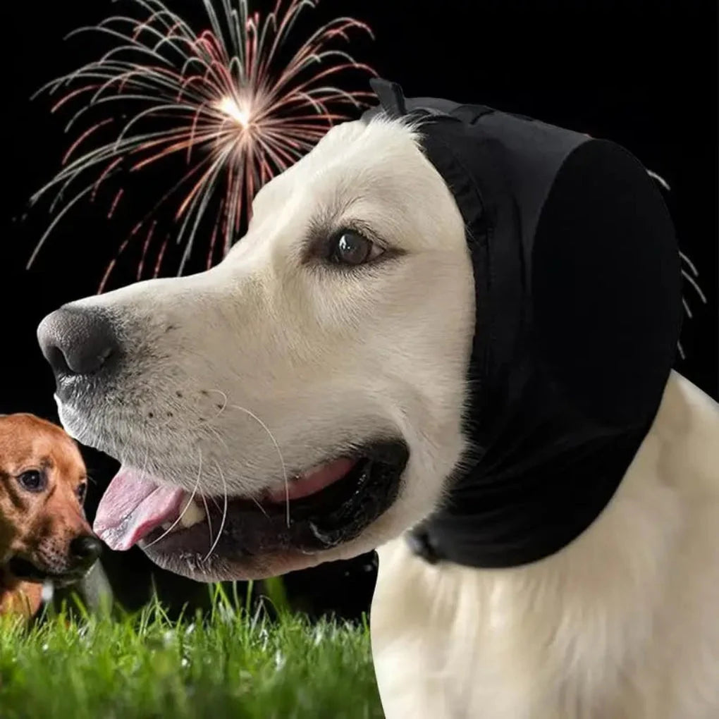 Hundehøreværn i sort med brede ørekapsler til hunde mod fyrværkeri