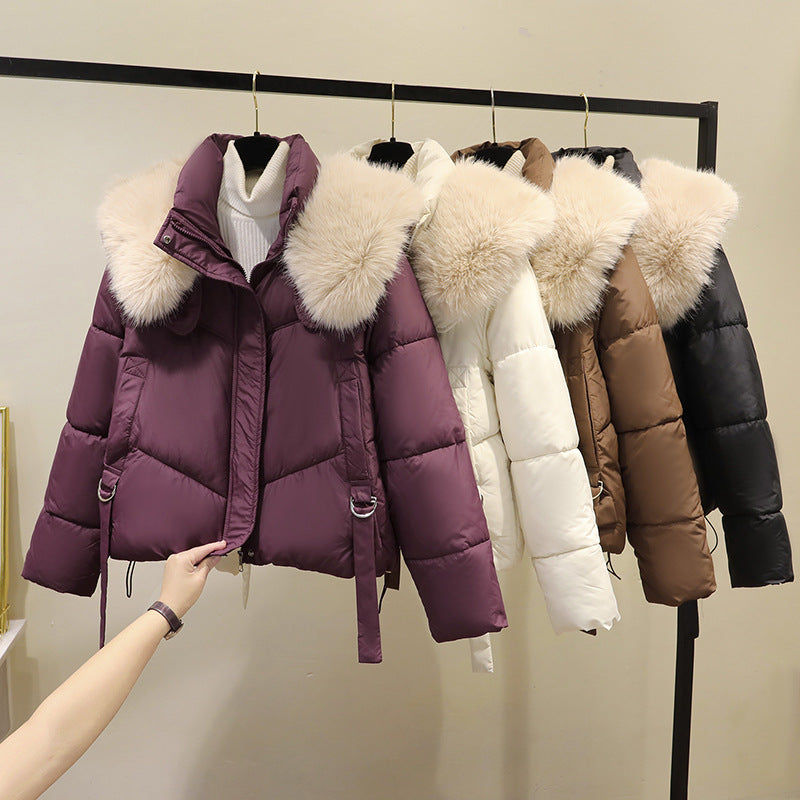 Pufferjakker med lange ærmer i lilla, off-white, brun og sort, pelskant ved krave